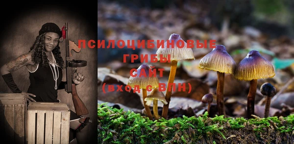 трава Богданович