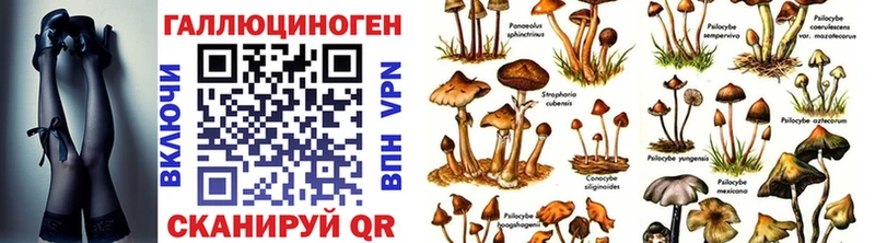Галлюциногенные грибы прущие грибы  закладки  Невель 